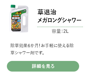 LIFELEX 草退治メガロングシャワー　２Ｌ