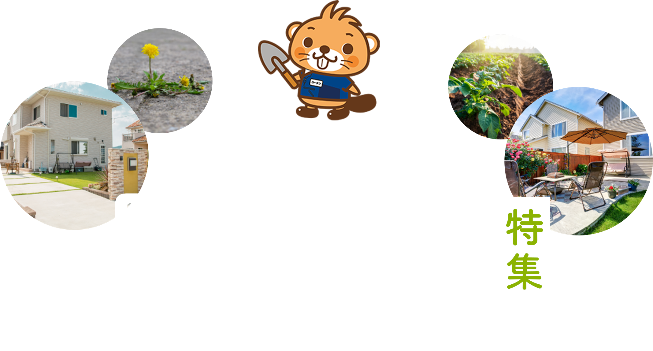 どこに使う?何を選べばいい?除草剤特集 速効性のあるタイプから長期間・強力なタイプまで〝今必要とする”アイテムを紹介