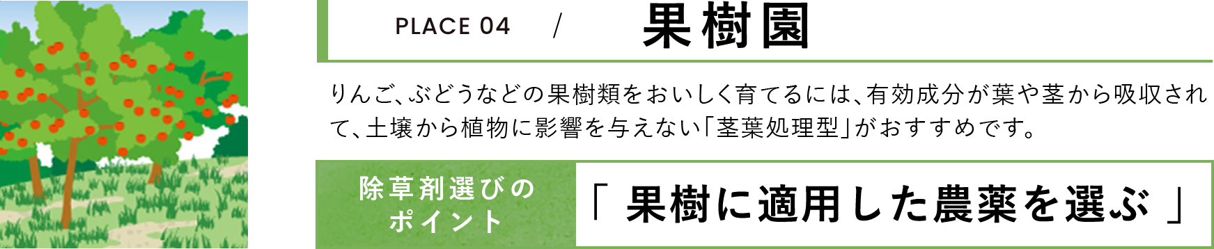 果樹園