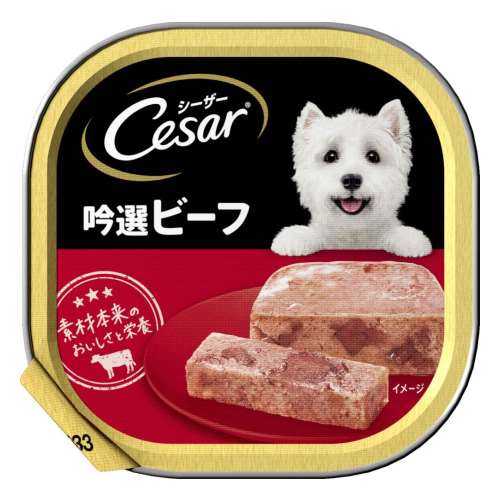 ※※シーザートレイ　吟選ビーフ　１００ｇ　×２４個セット