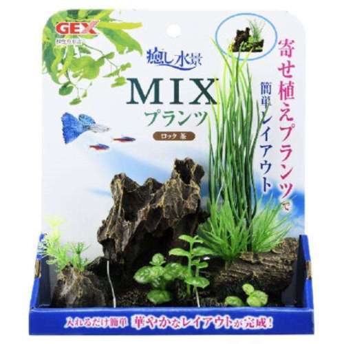 ＧＥＸ　ＭＩＸプランツ　ロック　茶